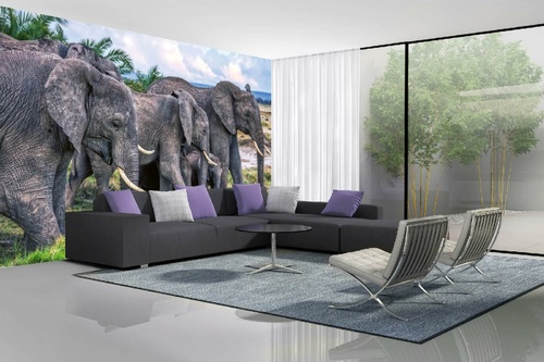 Vlies Fototapete - Gruppe afrikanischer Elefanten 375 x 250 cm